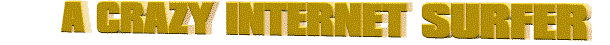 A CRAZY INTERNET SURFER 